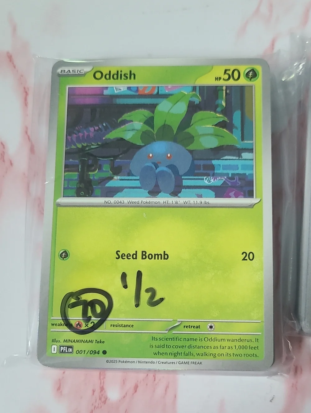 Pokemon Phantasmal Flames Lot Of 70
